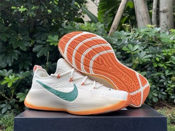 Nike Lebron TR1 Honors Famu TOP BATCH UA - Image 4
