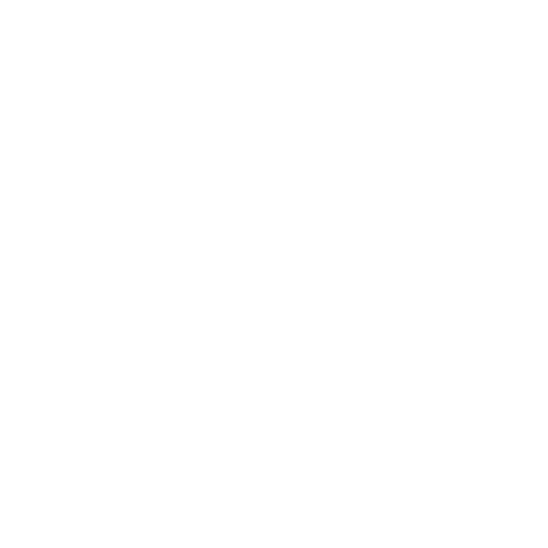 decentstore.in